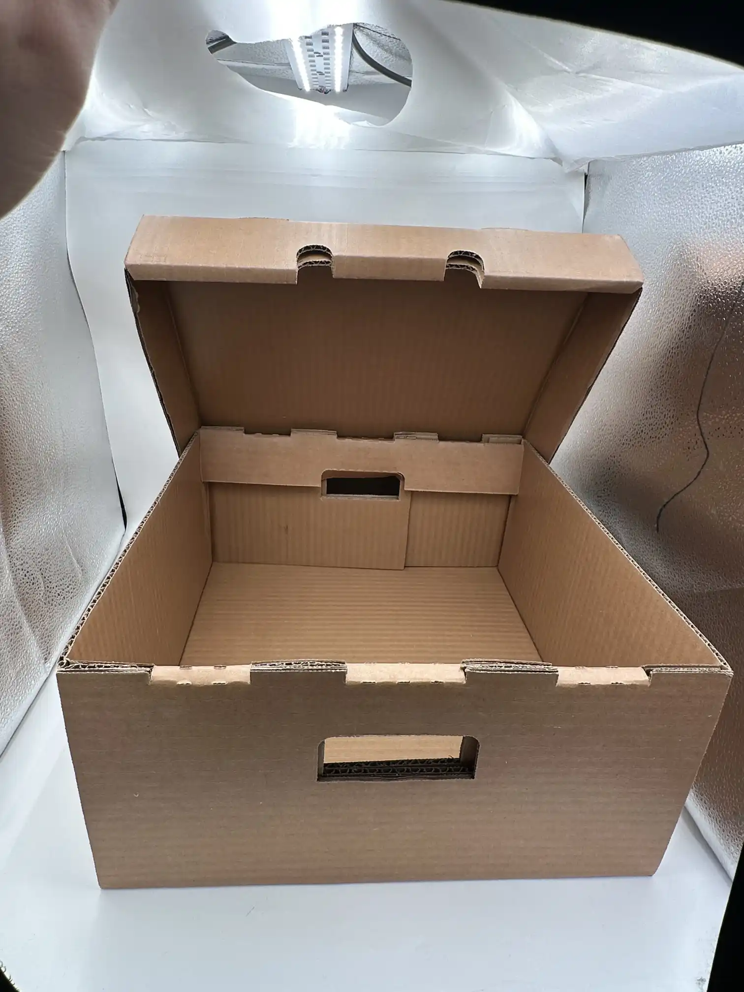 大型ワックス段ボール箱